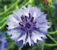  W co sie ubrać, żeby tego lata być modnym---Klaudyna Kleszyńska.